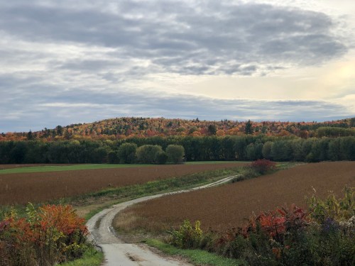 A winding dirt road leads through fields and colorful autumn trees under a cloudy sky.