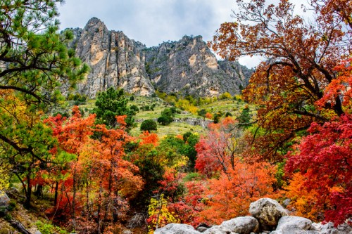 Vibrant autumn foliage in shades of red and orange surrounds rocky mountains under a cloudy sky.