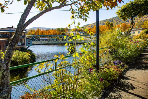 A scenic view of a river surrounded by colorful autumn foliage and vibrant flowers along a walkway.