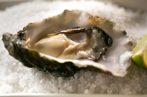 An open oyster on a bed of salt, accompanied by a wedge of lime.