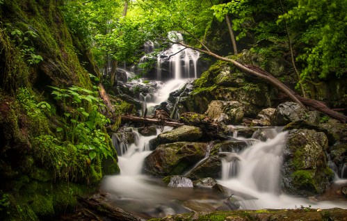 A serene waterfall cascades over rocks, surrounded by lush green foliage and trees in a tranquil forest setting.