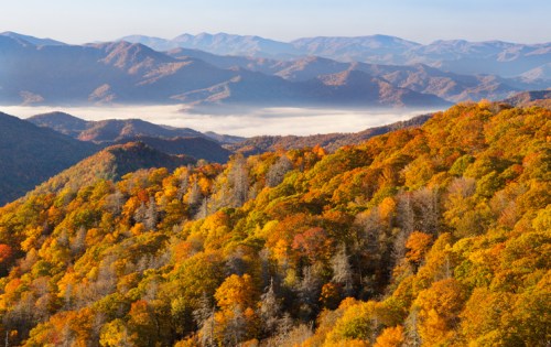 Vibrant autumn foliage covers rolling hills, with misty mountains in the background under a clear blue sky.