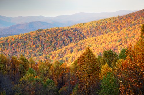 Vibrant autumn foliage covers rolling hills, with mountains in the background under a clear sky.