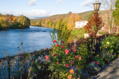 A scenic river view with colorful flowers along the bank and autumn foliage in the background under a clear blue sky.