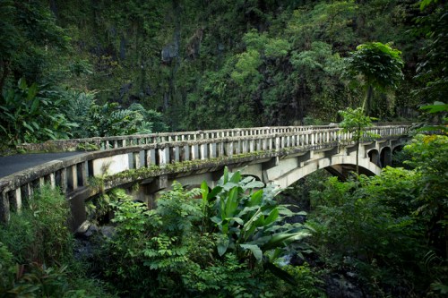 A stone bridge arches over a lush, green landscape filled with dense foliage and tropical plants.