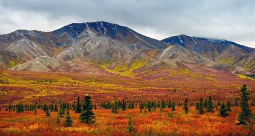Vibrant autumn landscape with colorful foliage in the foreground and majestic mountains under a cloudy sky.