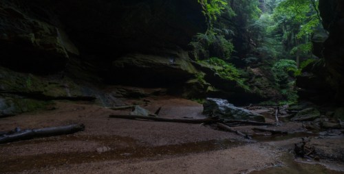 A serene, lush canyon with green foliage, rocky walls, and a sandy floor, illuminated by soft, natural light.