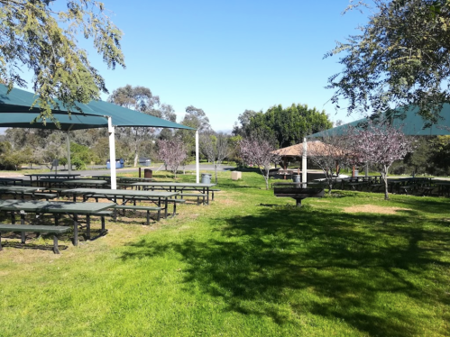 A grassy park area with picnic tables and shaded canopies under a clear blue sky. Trees are visible in the background.