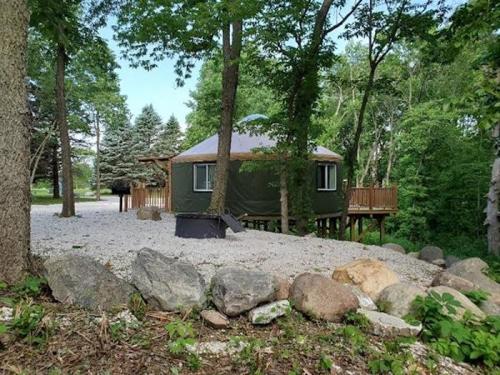 A round, green yurt on stilts surrounded by trees and gravel, with a wooden deck in a natural setting.