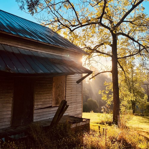 An old, weathered house with boarded windows, surrounded by trees and bathed in warm sunlight during golden hour.