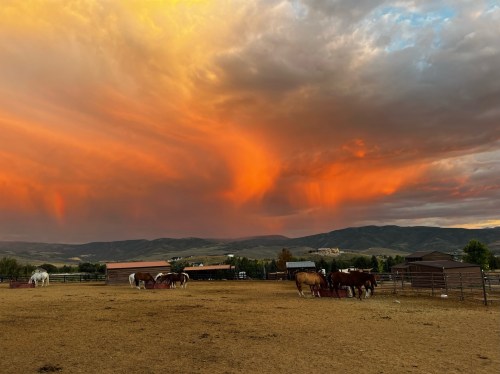 A vibrant sunset casts orange and pink hues over a pasture with horses grazing and mountains in the background.