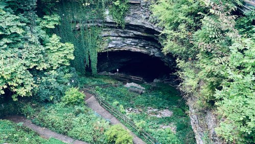 A lush, green landscape surrounds the entrance of a dark cave, with a winding path leading into the cave's mouth.