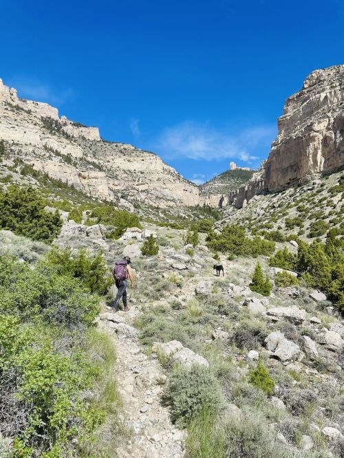 A hiker and a dog walk along a rocky trail in a mountainous landscape under a clear blue sky.