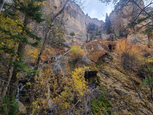 A scenic view of a rocky landscape with waterfalls and vibrant autumn foliage among trees and cliffs.