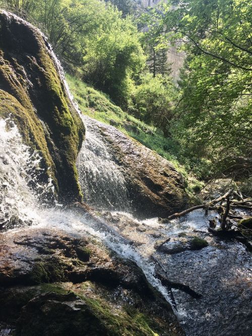 A serene waterfall cascading over mossy rocks, surrounded by lush greenery and trees in a natural setting.