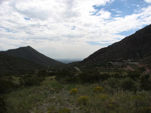 A scenic view of rolling hills and mountains under a cloudy sky, with greenery and wildflowers in the foreground.