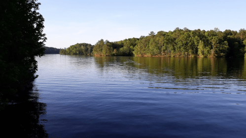 A serene lake surrounded by lush green trees under a clear blue sky, with gentle ripples on the water's surface.