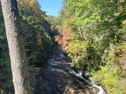 A serene river flows through a forest with vibrant autumn foliage under a clear blue sky.