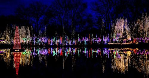 A colorful display of holiday lights reflecting on a dark lake, surrounded by trees in a nighttime setting.