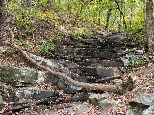 A rocky stream bed surrounded by trees, with a fallen log resting on the stones and autumn leaves scattered around.