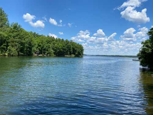 A serene lake surrounded by lush green trees under a bright blue sky with fluffy white clouds.