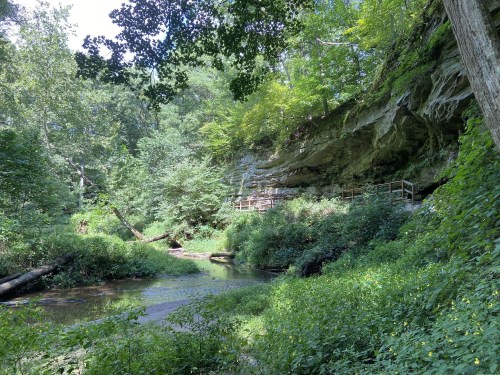 A serene forest scene with a creek, lush greenery, and a rocky cliff in the background.