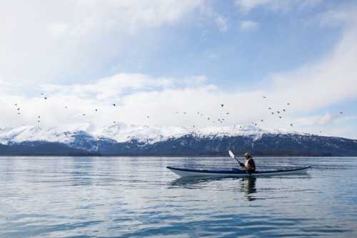 A kayaker paddles on calm water with snow-capped mountains and a flock of birds in the background.