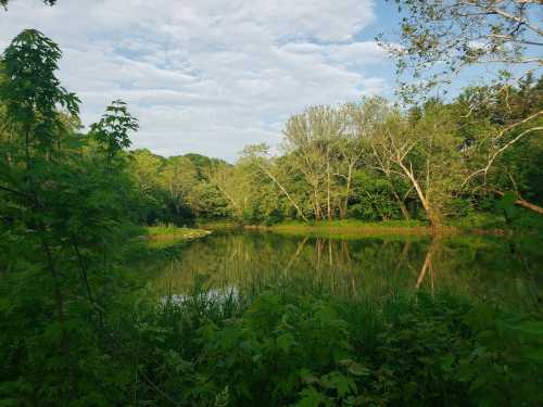 A serene pond surrounded by lush greenery and trees under a partly cloudy sky.