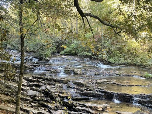 A serene stream flows over rocky terrain, surrounded by lush greenery and autumn foliage.