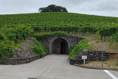 Vineyard entrance with stone archway, surrounded by lush green grapevines and a hill in the background.