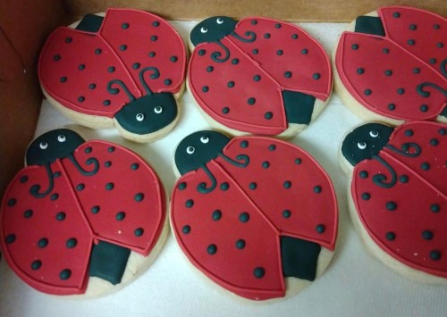 A box of decorated cookies shaped like ladybugs, featuring red bodies and black spots.
