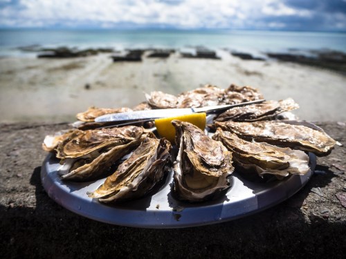 A plate of freshly opened oysters with a lemon wedge and knife, set against a coastal background.