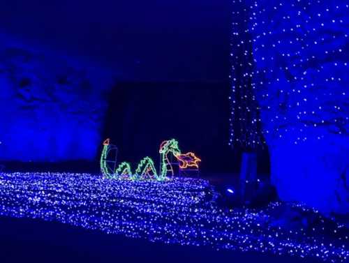 Colorful holiday lights illuminate a cave, featuring a green serpent and a reindeer against a blue backdrop.