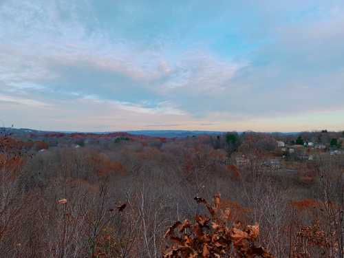 A panoramic view of a wooded landscape with autumn foliage under a cloudy sky.