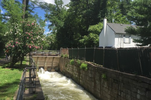 A flowing waterway next to a house, surrounded by trees and blooming flowers under a clear blue sky.