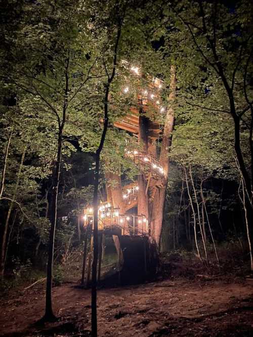 A beautifully lit treehouse spirals up a tree, surrounded by lush greenery at night.