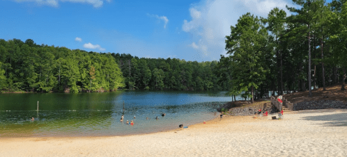 A serene lake surrounded by lush trees, with people swimming and relaxing on a sandy beach under a clear blue sky.