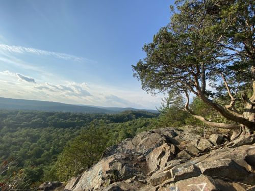 A rocky overlook with a tree, showcasing a lush green valley and a clear blue sky in the background.