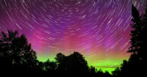 A vibrant night sky with swirling stars and colorful auroras above silhouetted trees.