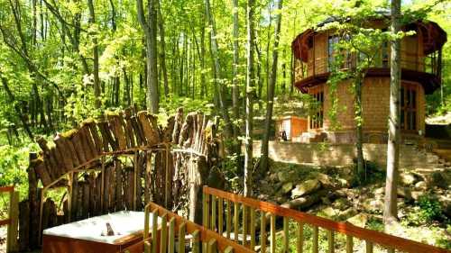 A serene forest scene featuring a wooden structure and a hot tub surrounded by lush green trees.