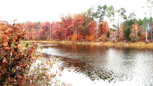 A serene lake surrounded by vibrant autumn foliage and trees reflecting in the calm water.