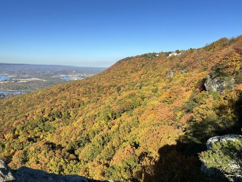 A scenic view of a colorful autumn landscape with rolling hills and a clear blue sky.