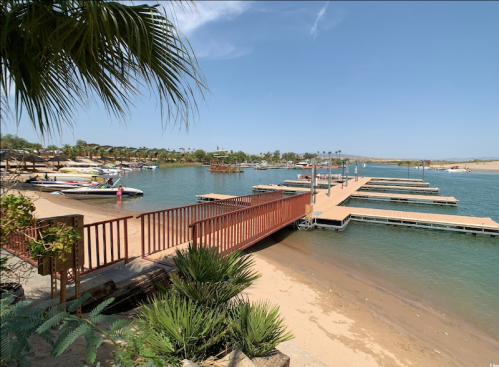 A sunny marina with boats docked, wooden walkways, and palm trees lining the sandy shore.