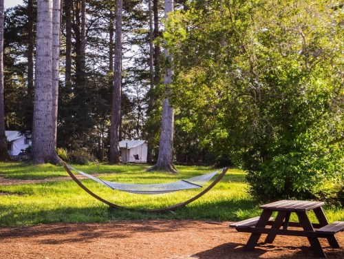 A serene outdoor scene featuring a hammock between trees and a picnic table on a grassy area.