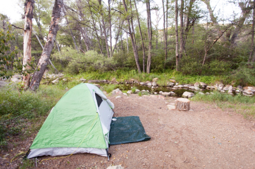 A green tent set up by a serene stream, surrounded by trees and natural greenery.