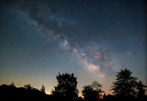 A starry night sky featuring the Milky Way, with silhouettes of trees in the foreground.