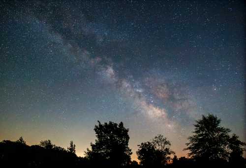 A starry night sky featuring the Milky Way, with silhouettes of trees in the foreground.