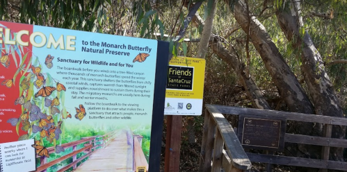 Signage at the Monarch Butterfly Natural Preserve, featuring information about the sanctuary and its wildlife.