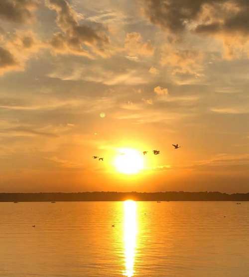 A serene sunset over a calm lake, with birds flying across the sky and reflections shimmering on the water.