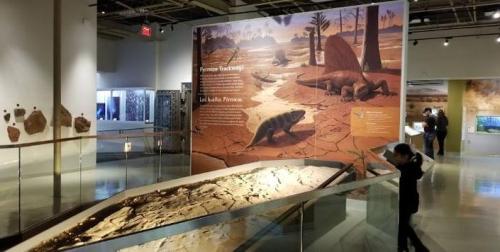 Exhibit showcasing prehistoric creatures with a mural and a fossil display in a museum setting.